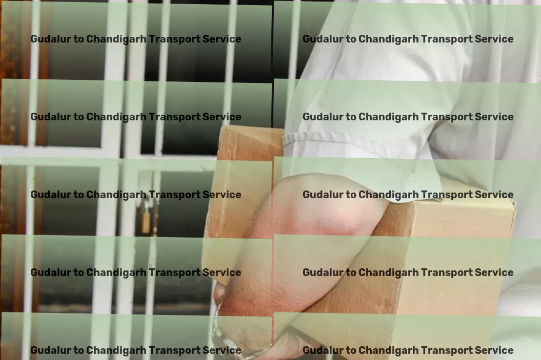 Gudalur to Chandigarh Transport Freight transport solutions