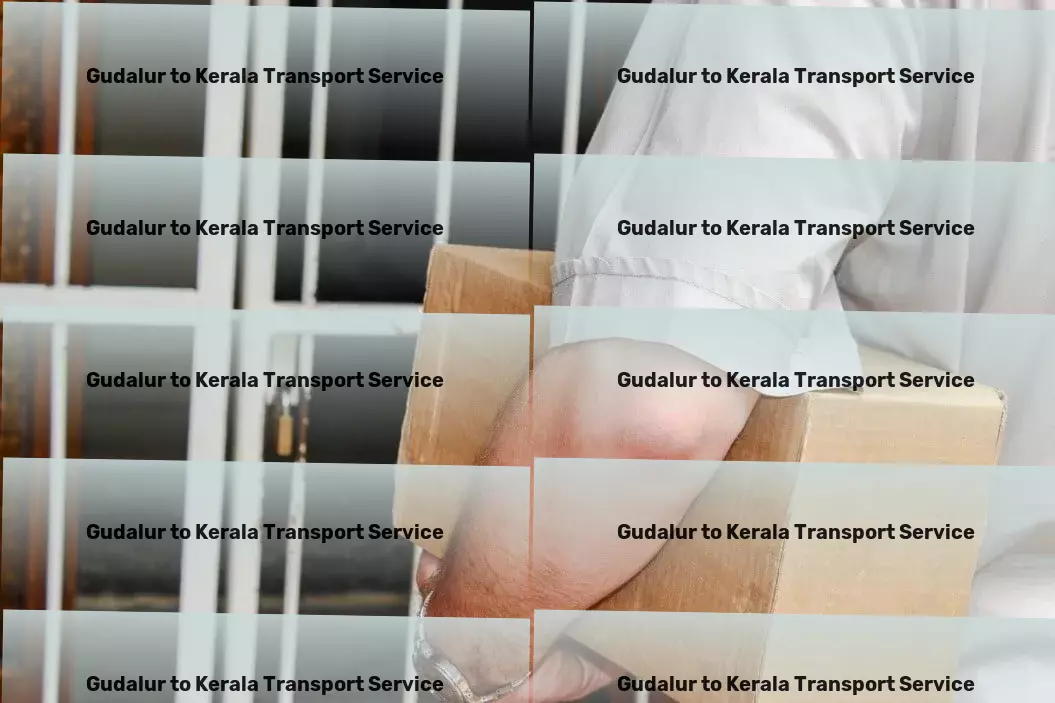 Gudalur to Kerala Transport Get ahead in logistics with our expert services in India! - Freight logistics networks