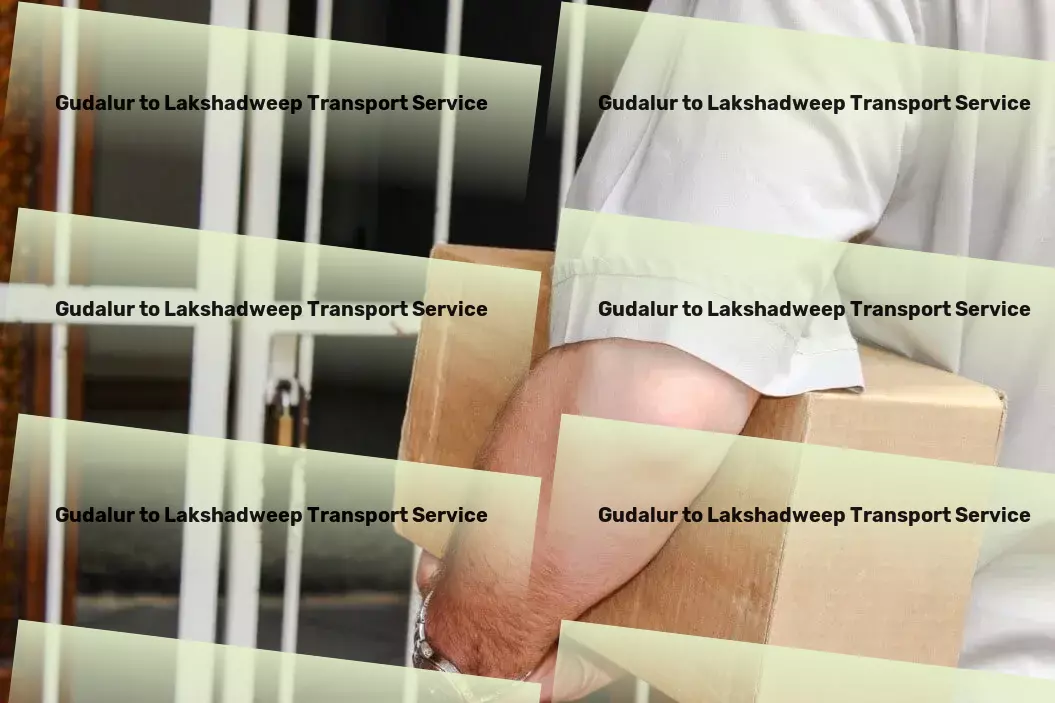 Gudalur to Lakshadweep Transport Connecting markets across India with superior transport services! - Specialized goods operations