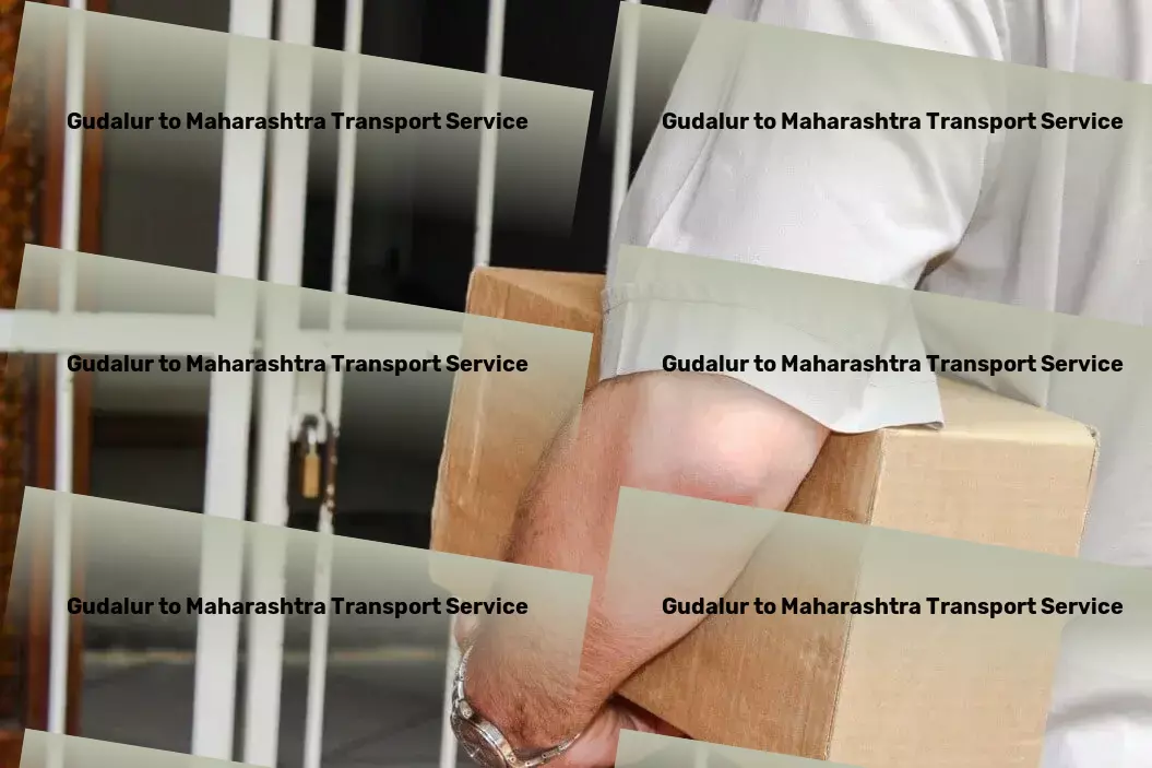 Gudalur to Maharashtra Transport Courier services