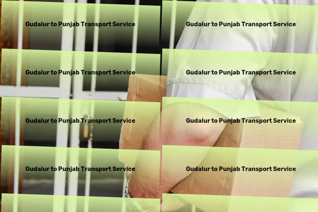 Gudalur to Punjab Transport Seamless, efficient, and reliable - transport services in India! - Flexible transport solutions