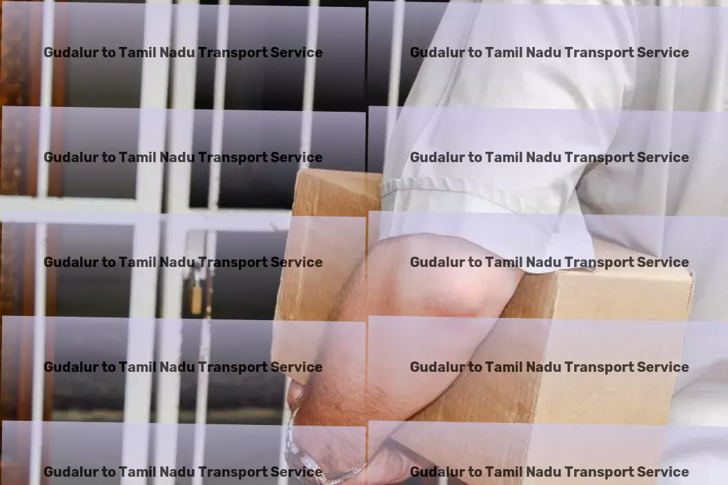 Gudalur to Tamil Nadu Transport High-speed transport solutions