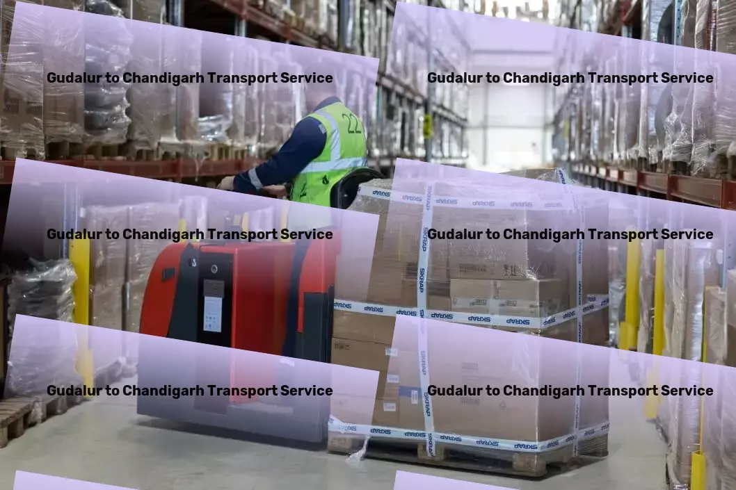 Gudalur to Chandigarh Transport Achieve balance and wellness in every aspect of life! - Professional moving services