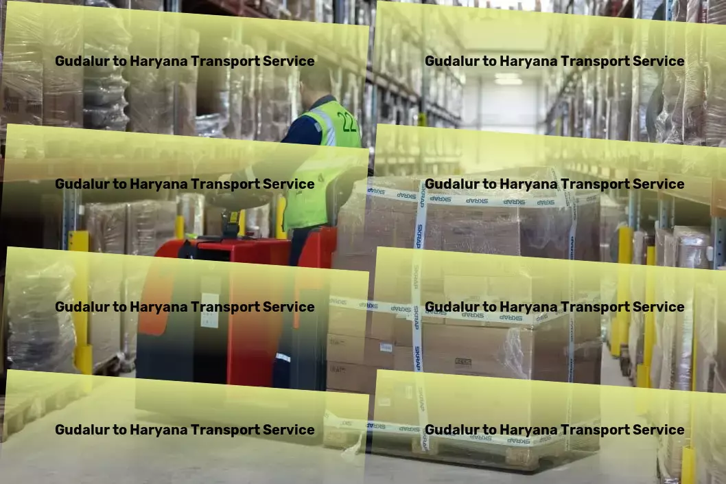 Gudalur to Haryana Transport Watch as we make light work of your heavy lifting challenges! - Inter-city cargo services