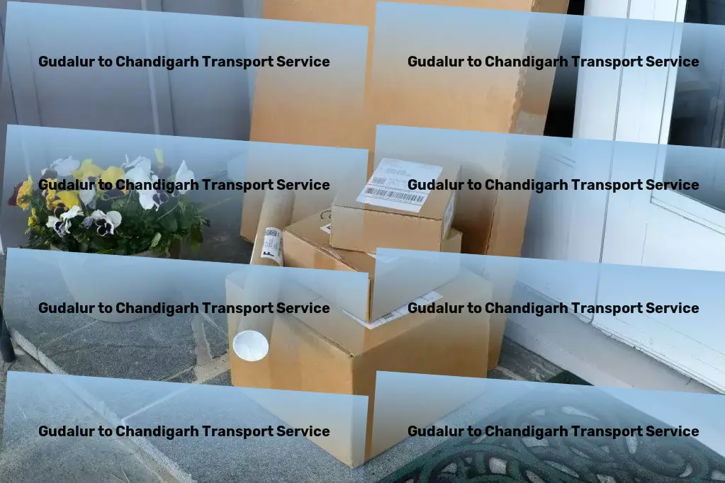 Gudalur to Chandigarh Transport Rapid freight forwarding