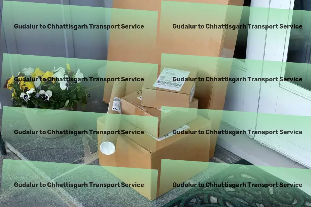 Gudalur to Chhattisgarh Transport Integrated transport solutions