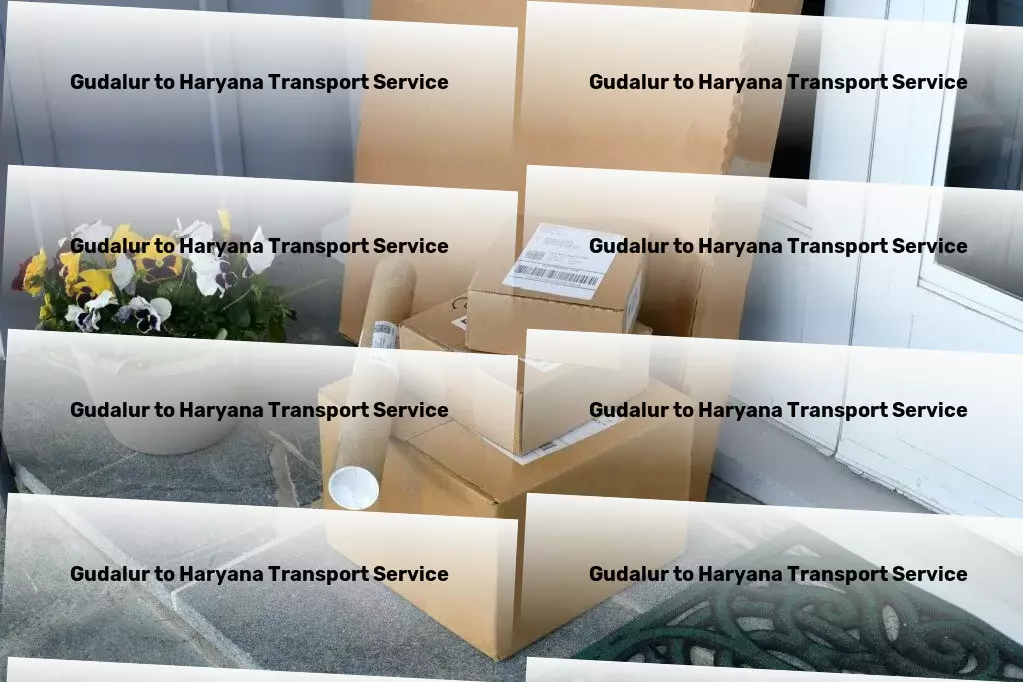 Gudalur to Haryana Transport The ultimate solution for a clutter-free environment! - Nationwide moving and shipment services