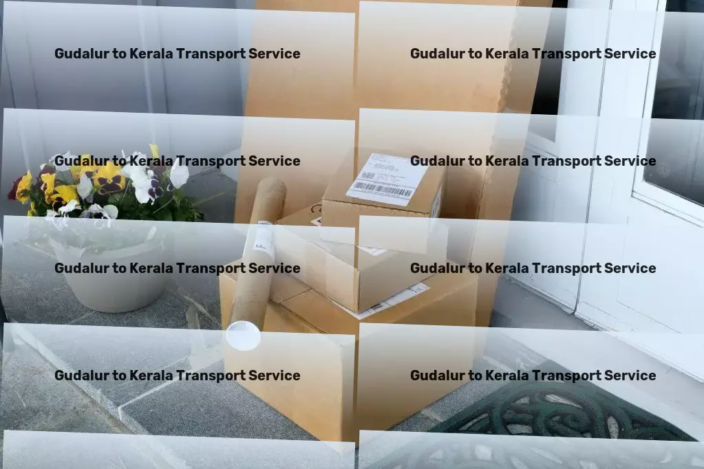 Gudalur to Kerala Transport Empowering your supply chain with Indian transport expertise! - Domestic logistics solutions