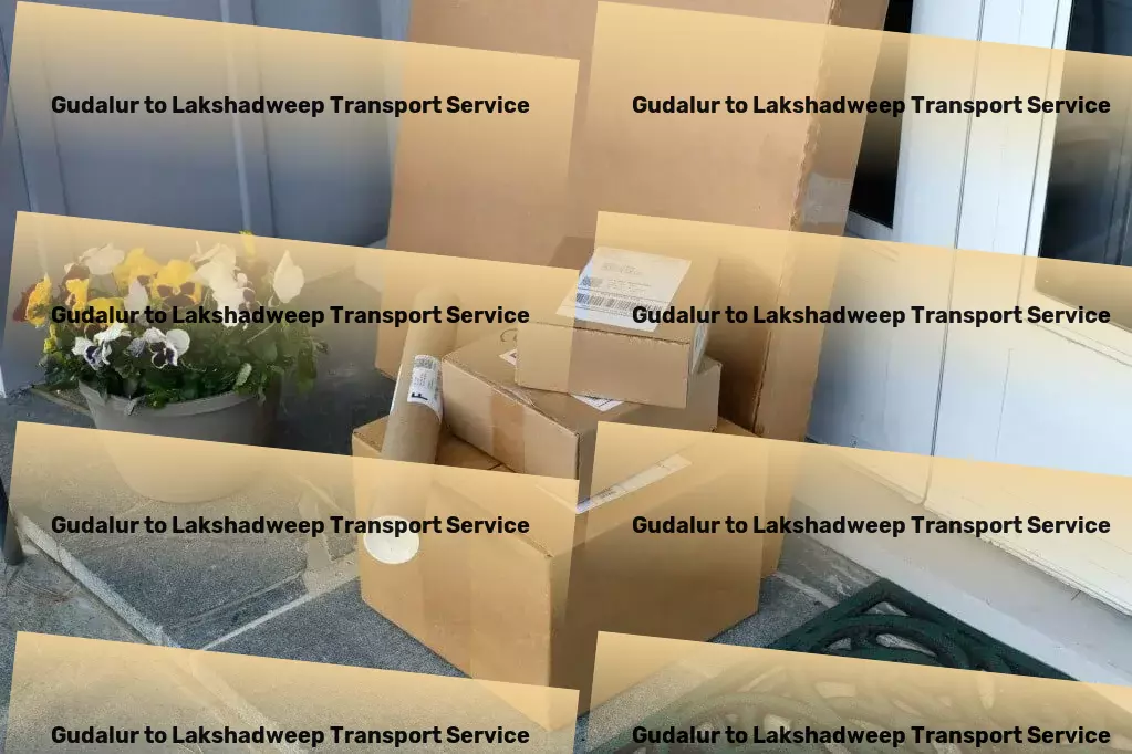 Gudalur to Lakshadweep Transport Nationwide courier