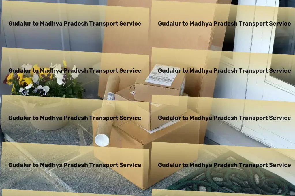 Gudalur to Madhya Pradesh Transport Quick goods delivery