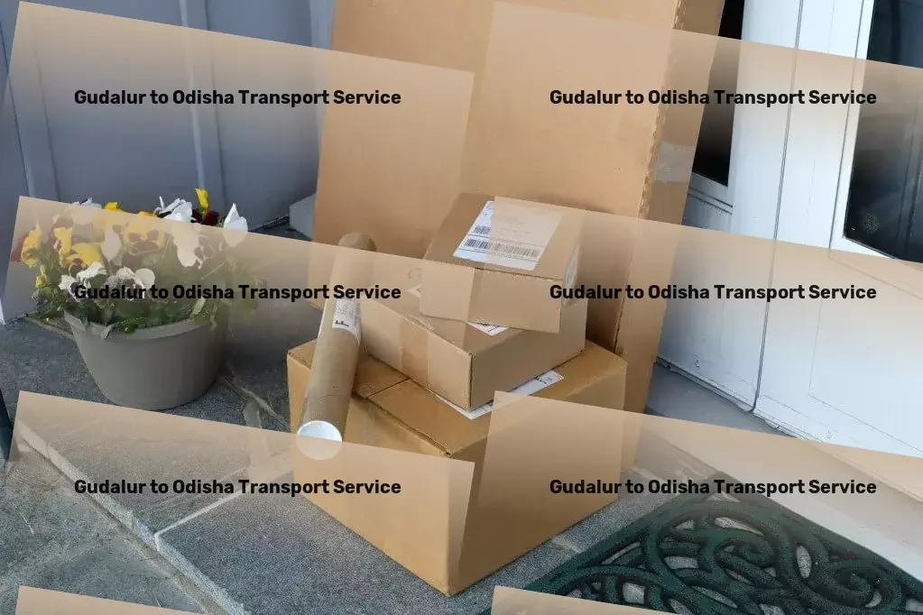 Gudalur to Odisha Transport High-volume cargo transport