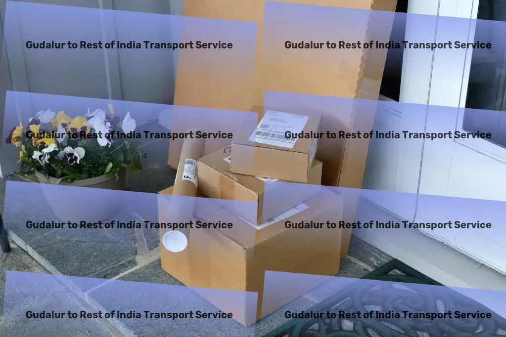 Gudalur to Rest Of India Transport Door-to-door freight solutions