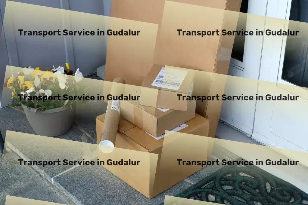 Cargo in Gudalur, Tamil Nadu (TN) Tailored moving plans to fit your schedule and budget! - Efficient cargo forwarding services