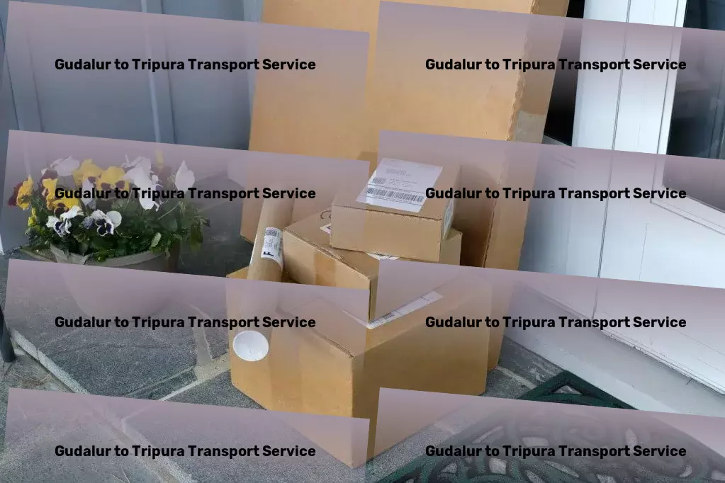 Gudalur to Tripura Transport Innovative, dynamic, and reliable - transforming India's transport scene! - High-value cargo transport