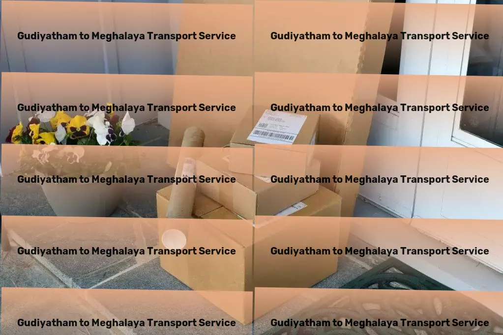 Gudiyatham to Meghalaya Transport Transforming the way you store everything! - Fast freight logistics