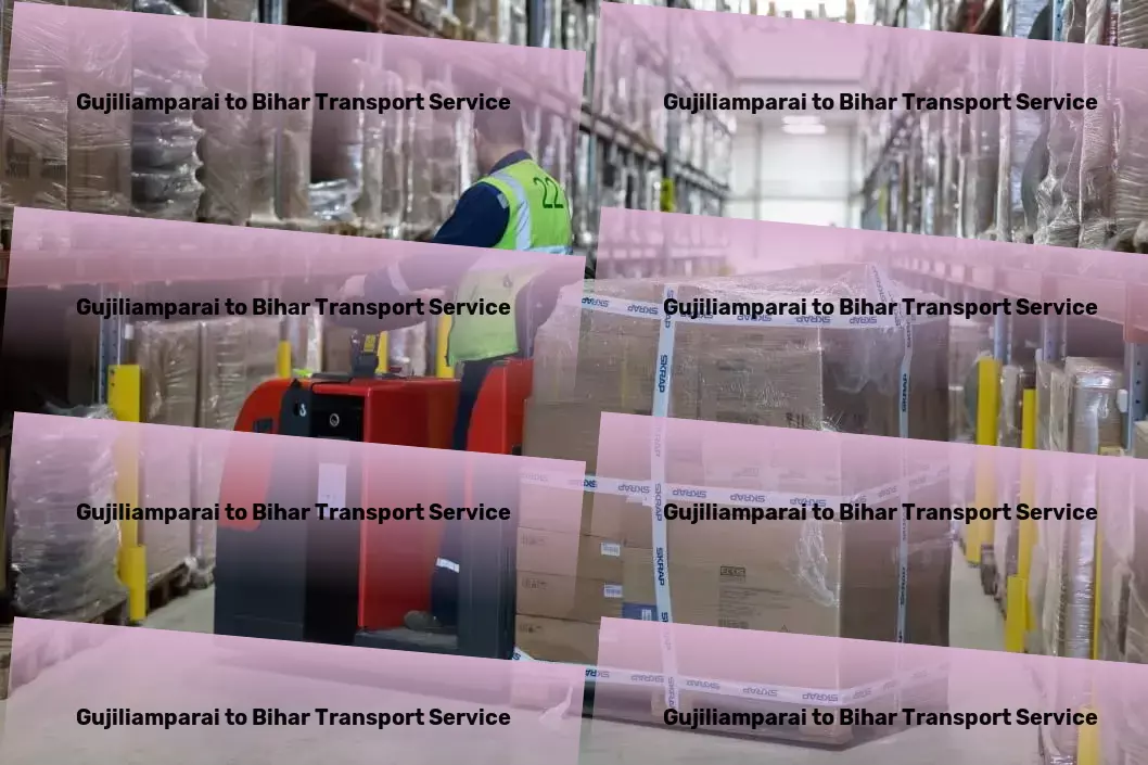 Gujiliamparai to Bihar Transport Unlock the secrets to thriving indoor plants! - Cross-border freight services