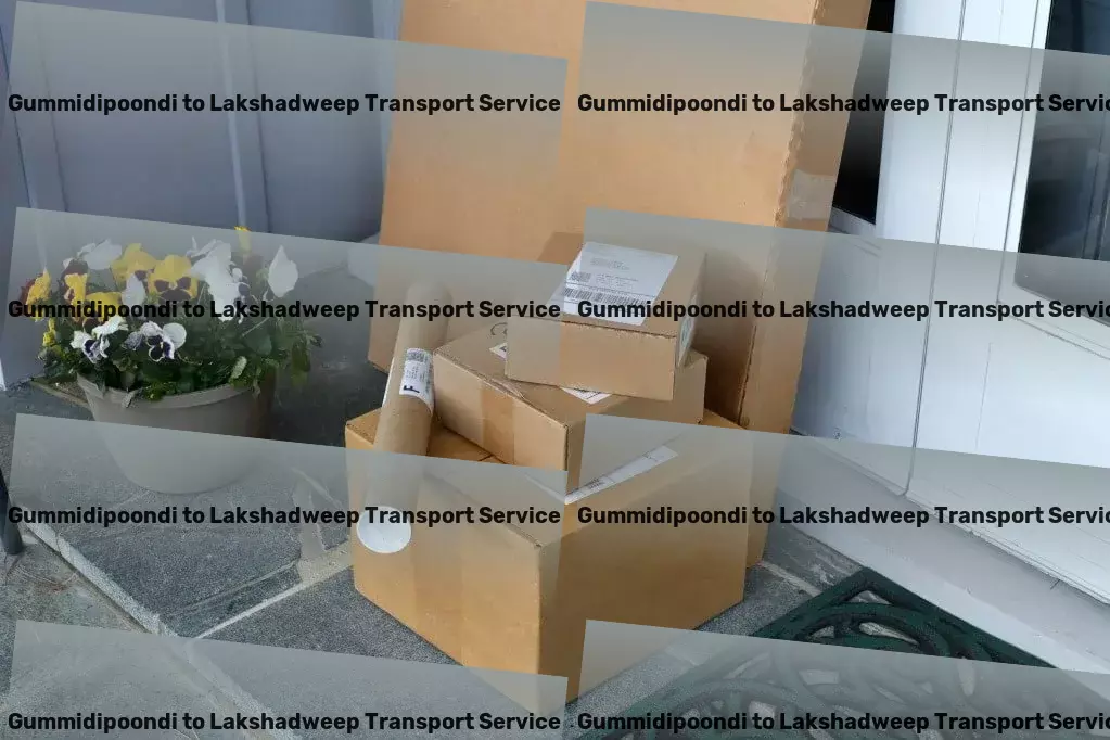 Gummidipoondi to Lakshadweep Transport The secret to maintaining a tidy home revealed! - Integrated goods forwarding