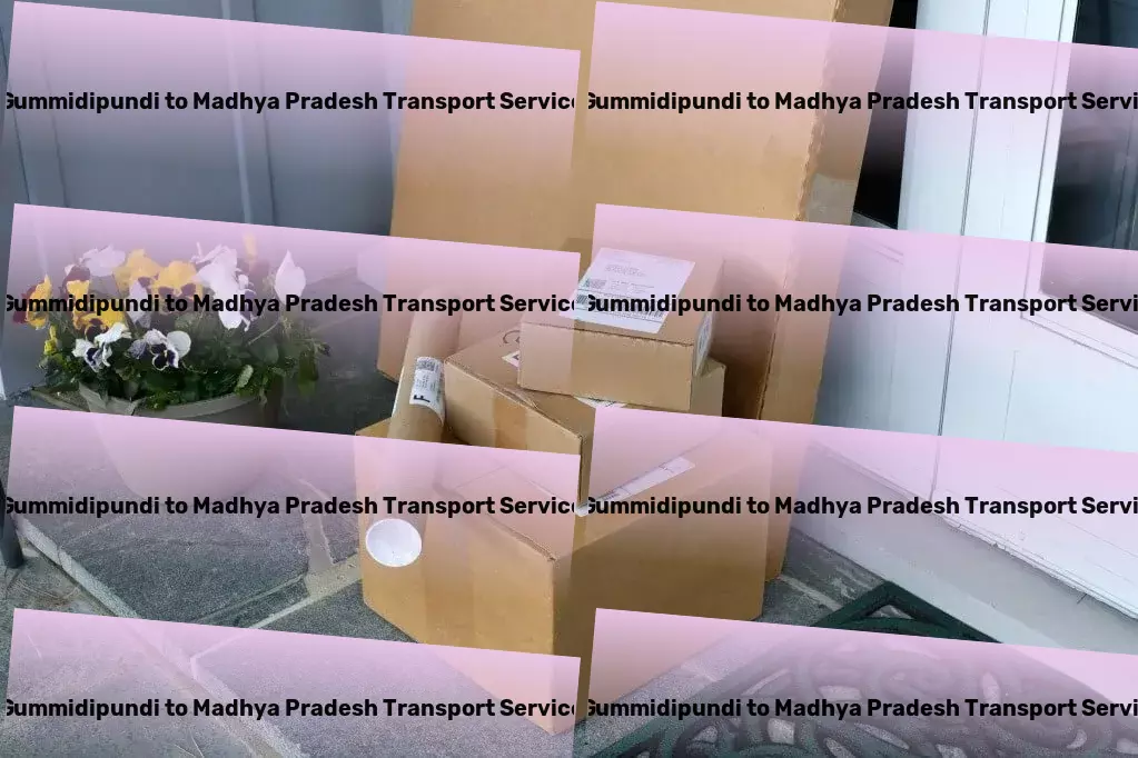 Gummidipundi to Madhya Pradesh Transport National package services