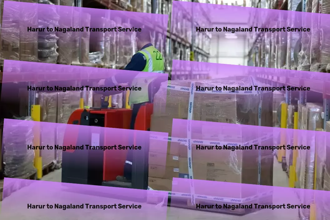 Harur to Nagaland Transport Simplify your life with our storage solutions! - Professional shipping solutions