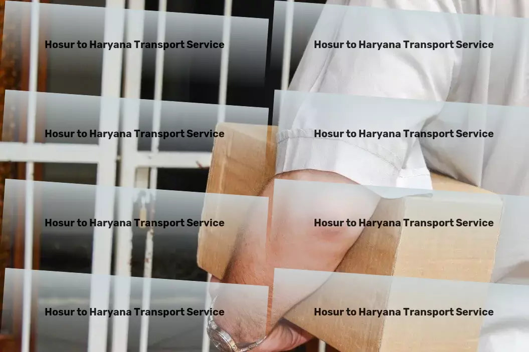 Hosur to Haryana Transport Customized storage for a harmonious living space! - Long-haul cargo logistics