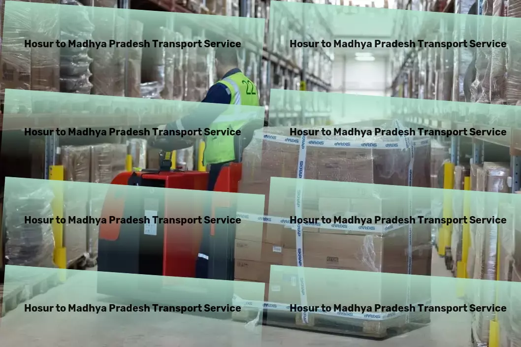 Hosur to Madhya Pradesh Transport Express parcel services