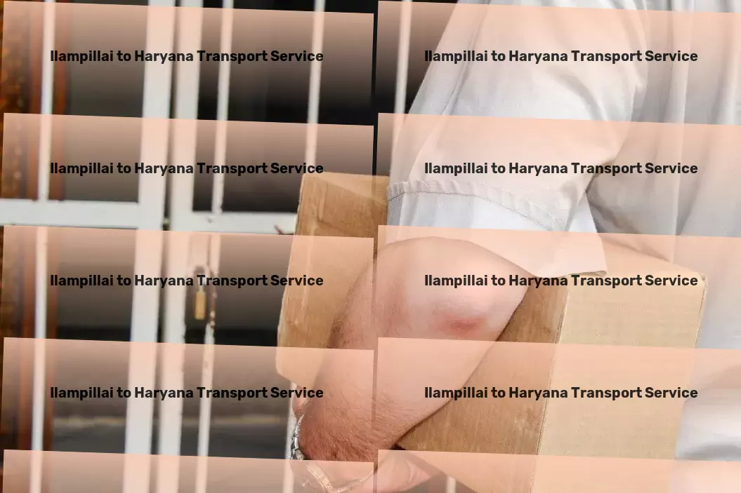 Ilampillai to Haryana Transport Professional shipping solutions