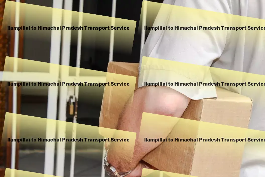 Ilampillai to Himachal Pradesh Transport Multi-regional freight forwarding