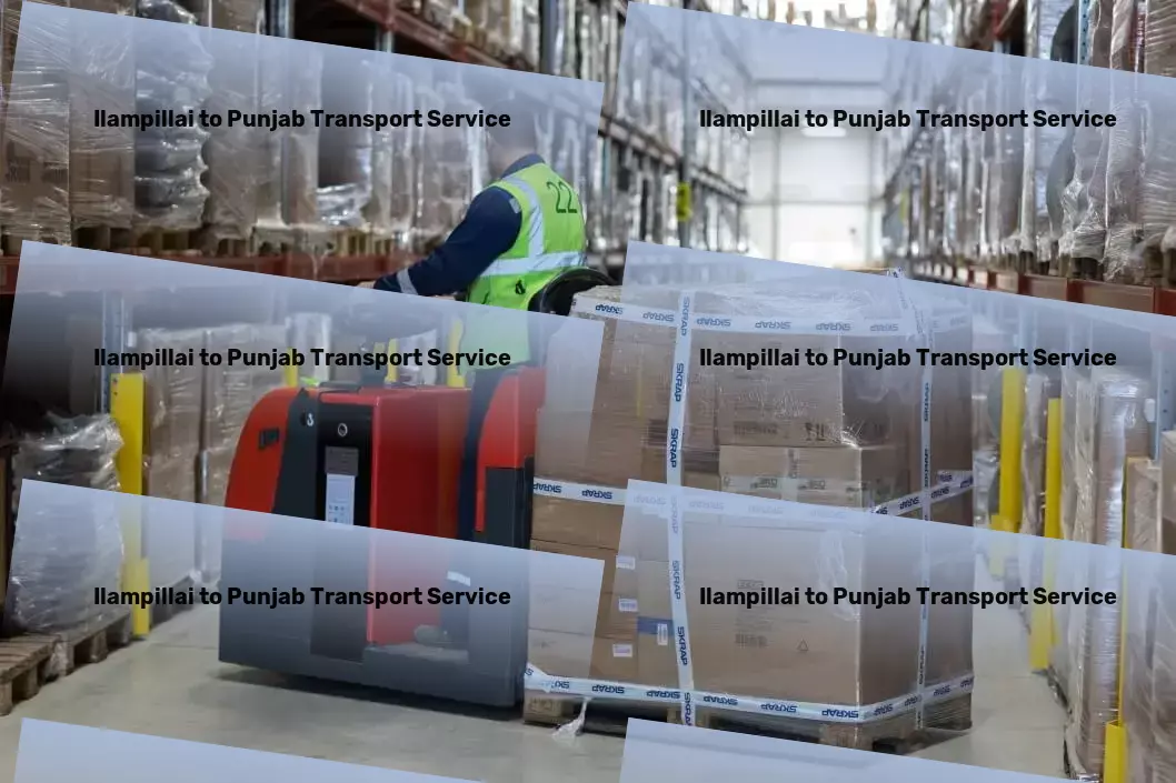 Ilampillai to Punjab Transport Revolutionize your storage solutions with ease! - Professional package delivery