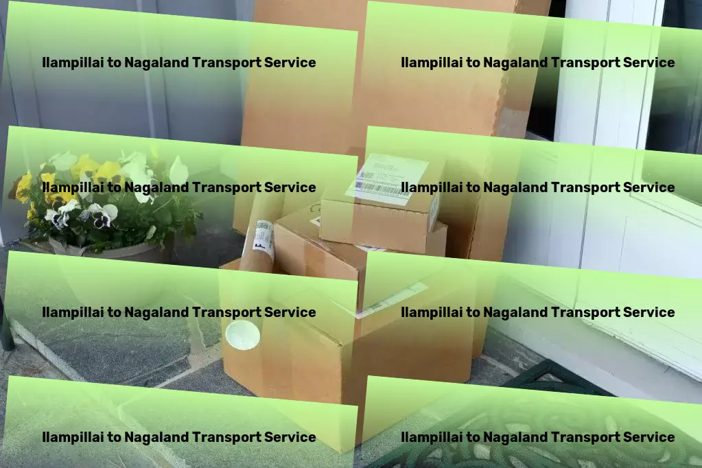 Ilampillai to Nagaland Transport Nationwide movers