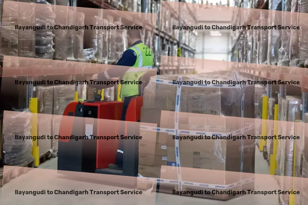 Ilayangudi to Chandigarh Transport Multi-regional goods transport