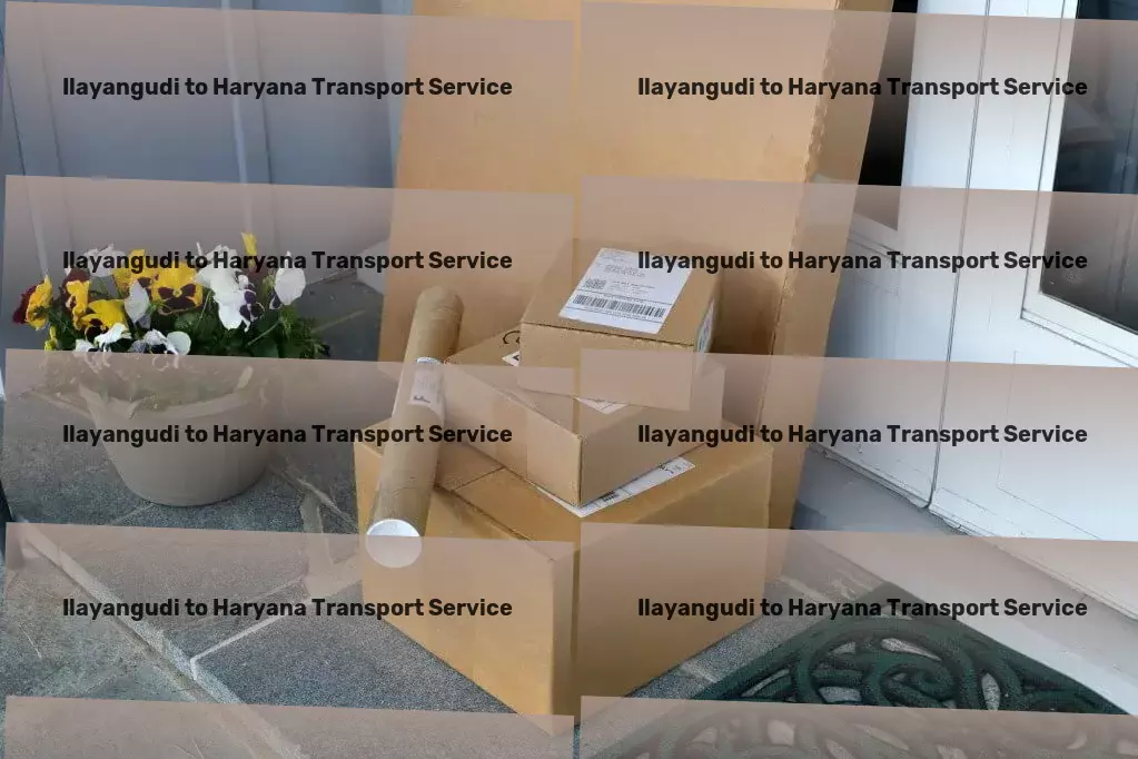 Ilayangudi to Haryana Transport Door-to-door transport solutions