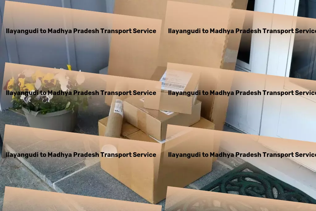 Ilayangudi to Madhya Pradesh Transport From packing to transport, we've got your move covered! - Freight booking platform