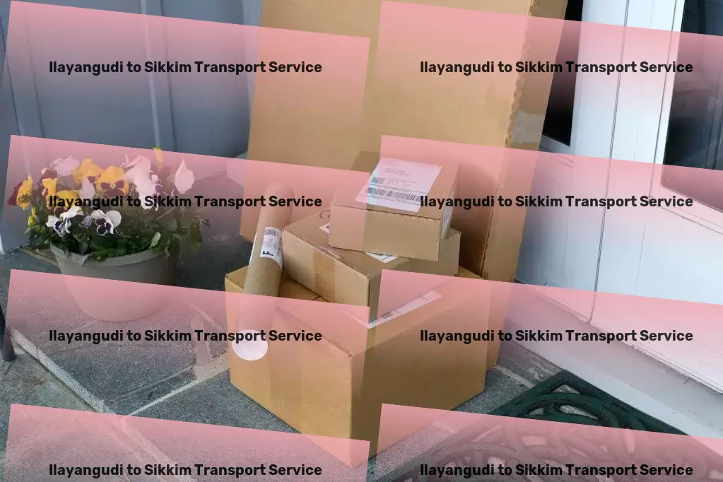 Ilayangudi to Sikkim Transport Innovative ways to keep your belongings organized! - Quick goods shipment solutions