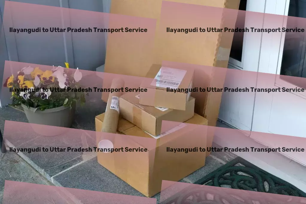 Ilayangudi to Uttar Pradesh Transport National freight services