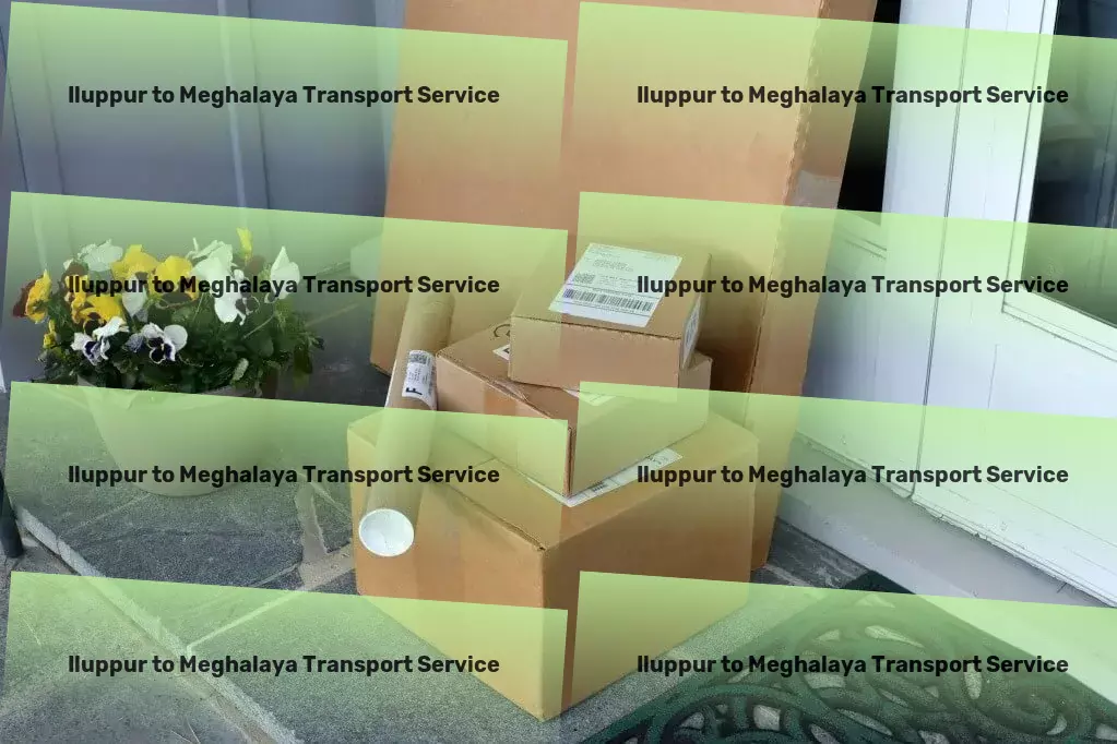 Iluppur to Meghalaya Transport Nationwide logistics services